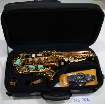 rss-301-4.jpg